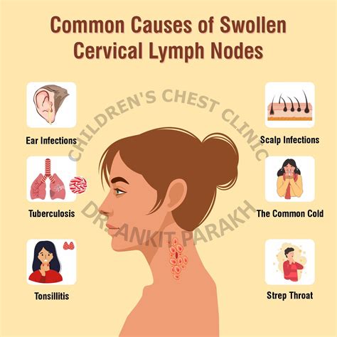 Swollen Posterior Cervical Lymph Nodes Causes Diagnos