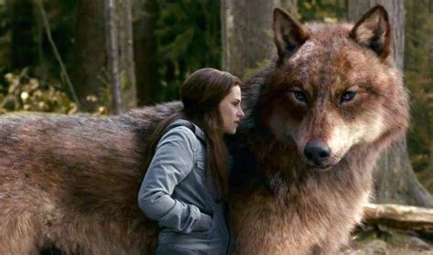 The Wolves From Twilight In Wolf Form Jacob In Wolf Form Hunks