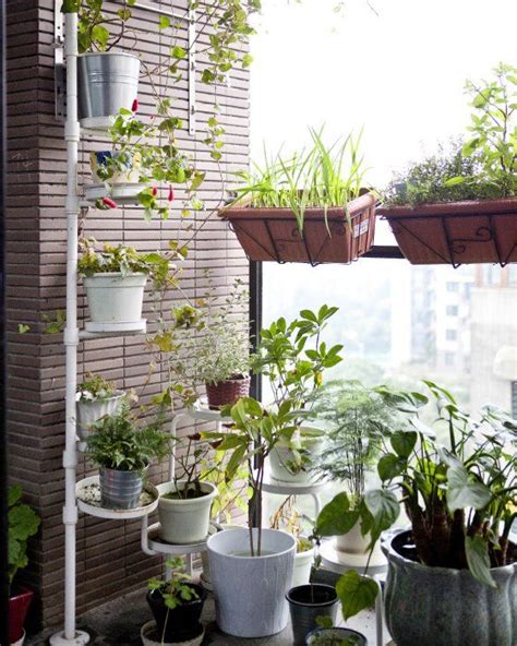 Encuentra los mejores vídeos de plantas colgantes gratis. Claves fantásticas para renovar tu balcón en primavera ...