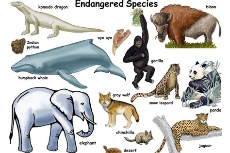 Endangered Species Day 11 May Image I Nations