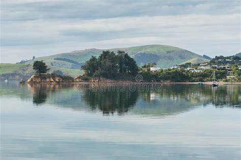 Coastal View Pacific Coast Of New Zealand Otago Peninsula Stock Image