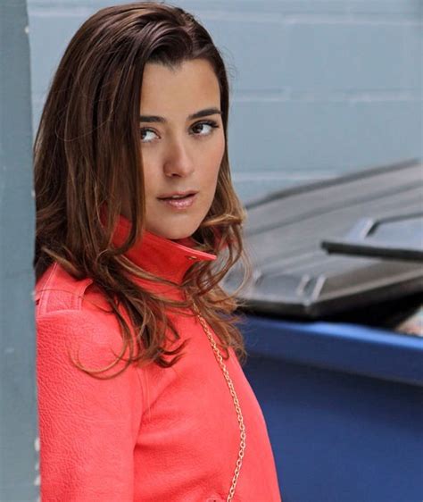 May 31, 2020 · as of this writing, neither season 16 of ncis, which aired from 2018 to 2019, nor season 17, which wrapped up in april 2020, are available to stream netflix. NCIS season 16 spoilers: What does the Super Bowl promo ...
