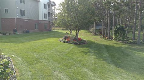 Cloud, central minnesota and the brainerd lakes area. Lawn Care & Insect Control Service in Central MN - See ...