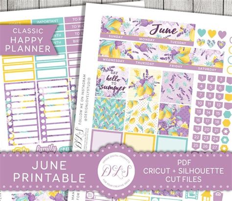 Happy Planner June Monthly Kit June Happy Planner Printable Etsy