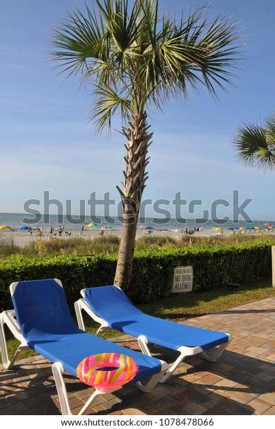 Two Lounge Chairs Palm Tree Oceanfront Stock Photo Edit Now 1078478066