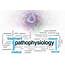 Pathophysiology  Learn Sujok Heal The World