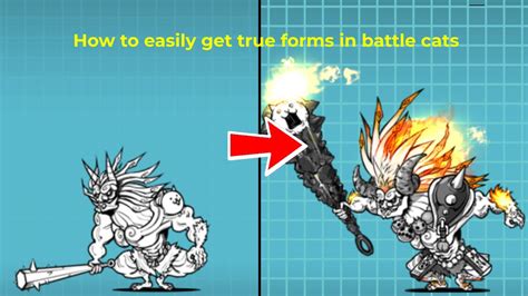 How To Easily Get True Forms In Battle Cats Youtube