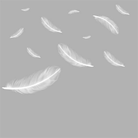 Floating Falling Feather Png Free Download, Feather Clipart, Feather, Feathers PNG Transparent ...