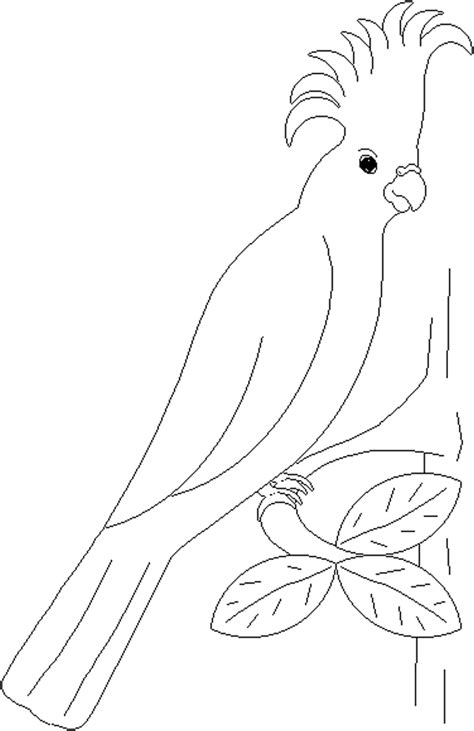 These birds fell in love with people for their bright color, their quick wit, the ability to imitate human speech and even dance to the rhythm of music. Parrots coloring pages to download and print for free