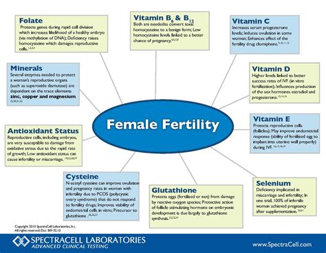 Fertility Awareness Week Spectracell Female Fertility Chart