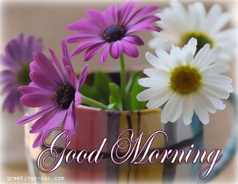 Sending Fresh Flowers On Morning Good Morning Wishes And Images