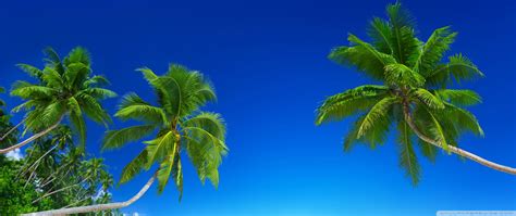 Tropical Beach Paradise 5k Ultra Hd Desktop Background Wallpaper For 4k