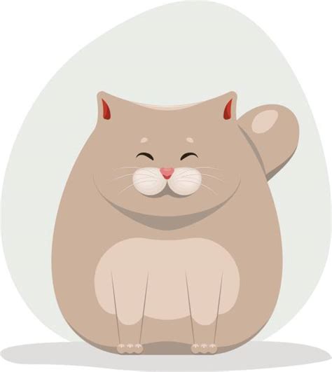 Fat Fluffy Cat Pics Illustrations Royalty Free Vector Graphics And Clip Art Istock