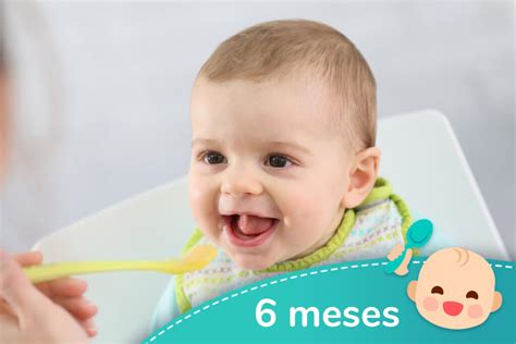A Cada 6 Meses