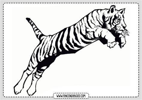 Dibujo De Tigre Para Pintar E Imprimir Rincon Dibujos