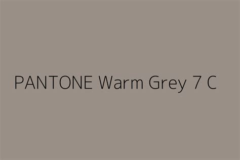Pantone Warm Grey 7 C Color Hex Code