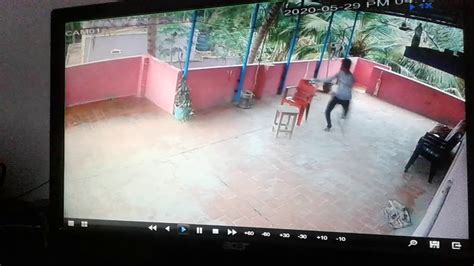 Monkey Attack Caught On Camera Youtube
