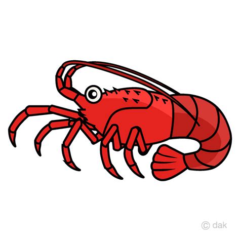 Download High Quality Lobster Clipart Crustacean