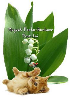 Davolly59 has uploaded 2063 photos to flickr. Muguet 1er mai