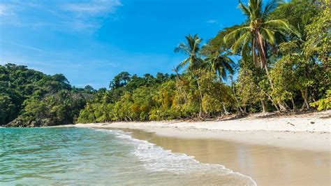 Costa Rica Tiene Más De 600 Playas Nosotros Nos Quedamos Con Estas 10