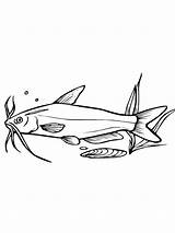 Coloring Catfish Printable Minecraft Fish sketch template
