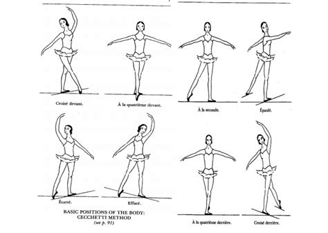 8 Positions Of Ballet