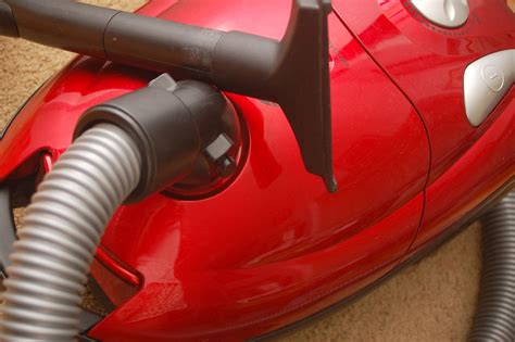 Check spelling or type a new query. How to Get Rid of Flesh Flies: 4 Steps (with Pictures ...