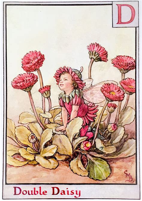 The Flower Fairies The Double Daisy Fairy Book