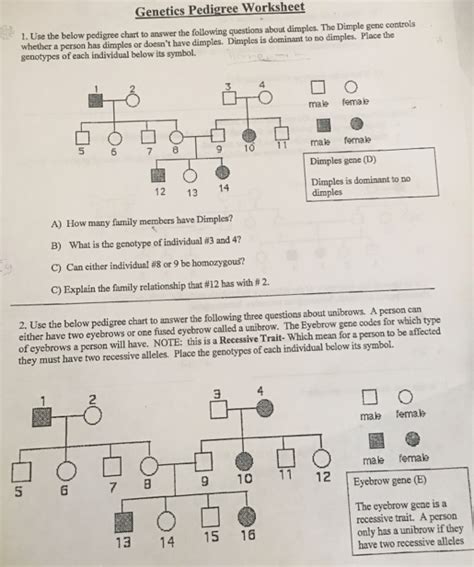 Answer Key Pedigree Analysis Worksheet Answers Solved Genetics Pedigree Worksheet Use The