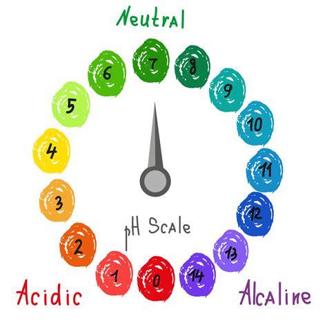 Round Ph Scale For Measuring Acid Alkaline Balance Chemical Value Test