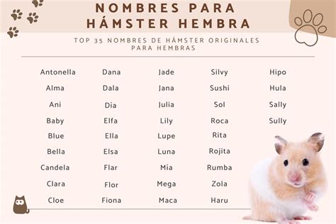 155 Nombres Originales Para Hámster ¡machos Y Hembra