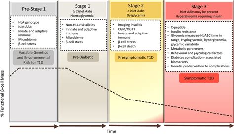 Development And Staging Of Type 1 Diabetes T1d Is Characterized By A Download Scientific