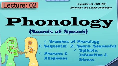 Phonology What Is Phonology And Its Branches Youtube