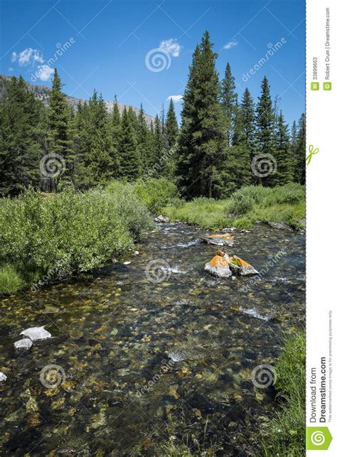 Clear Rocky Mountain Stream Stock Image Image Of Rocks Mountain