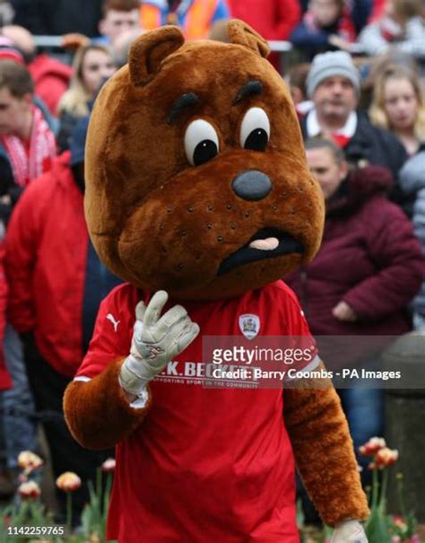Barnsley Mascot Toby Tyke Photos And Premium High Res Pictures Getty