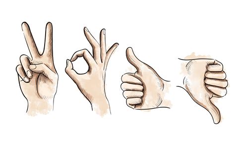 Vector Gestures By Hands People Illustrations Creative Market