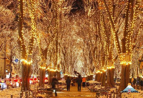 Keindahan Iluminasi Sendai Hikari Pageant | Wisata Jepang