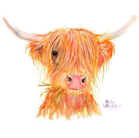 Scottish Highland Cow Fergus By Shirley Macarthur Art