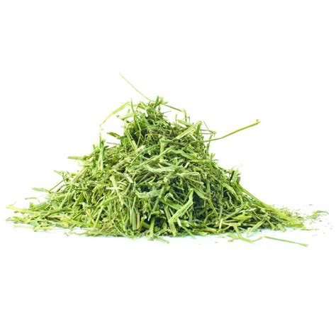 Alfalfa Green Chopped 25 Cp 35 Ndf 15 Lndf Equine Nutrition