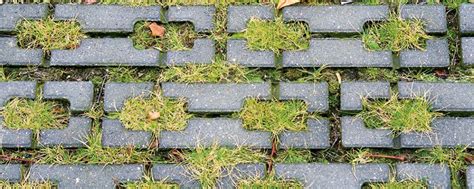 Water Permeable Pavements Urban Green Blue Grids
