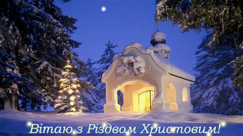 Щоб у різдвяні свята ваша хата була колядами багата, щоб *** шлемо найкращі вітання з нагоди нового року та різдва христового! Вітання з Різдвом