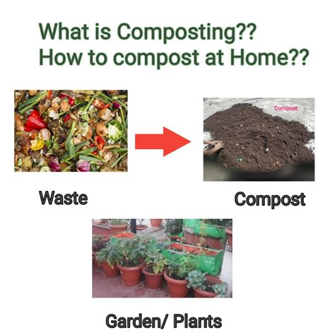 Composting 101 Compost Guide For Beginners Guidebest Compost