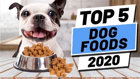 Unleash Your Dogs Best Health With These Top 5 Dog Food Picks A