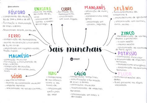 Mapa Mental Sais Minerais Ictedu