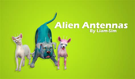 Liam Sim Alien Antennas Get Your Pets From Ts4 Pets Cc Finds