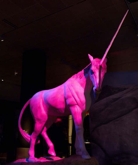 Dragons Unicorns And Mermaids Take Over Museum Grand Rapids Magazine