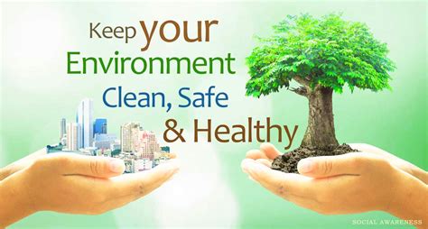 What Effects Can The Environment Have On Health Girgitnews
