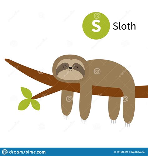 Letter S Sloth Zoo Animal Alphabet English Abc With