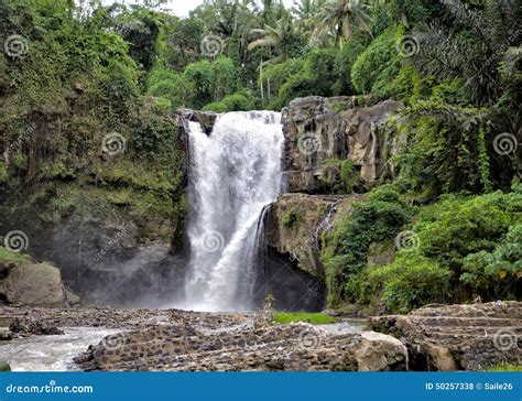 Tegenungan Waterfall Stock Photo Image Of Jungle Tree 50257338