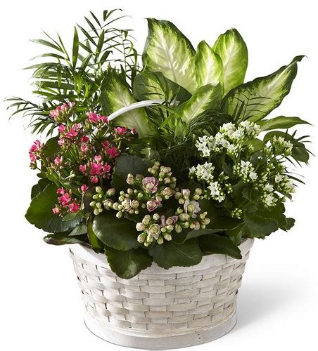 Florist In Pittsburgh Pennsylvania Pittsburgh Flowers Delivery